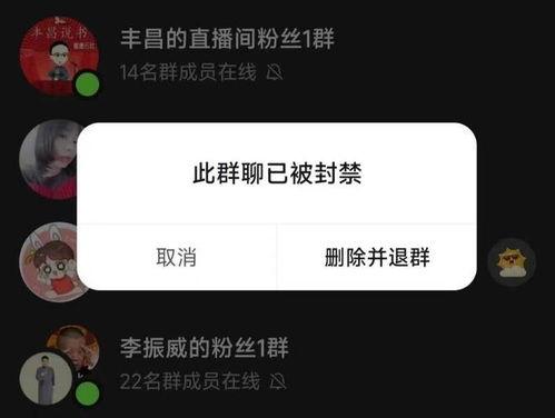 杜导最新爆料视频播放,幕后故事与精彩瞬间